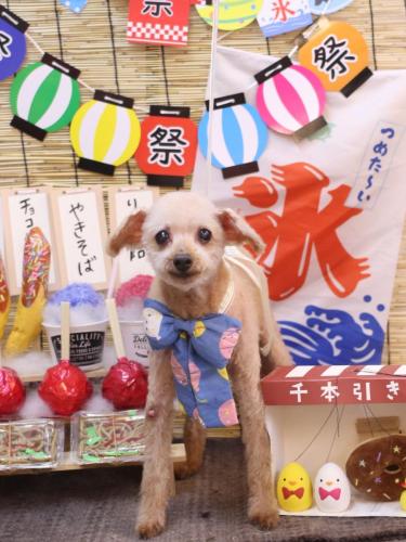 250240725モコくん